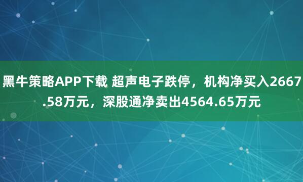 黑牛策略APP下载 超声电子跌停，机构净买入2667.58万元，深股通净卖出4564.65万元