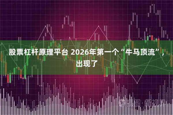 股票杠杆原理平台 2026年第一个“牛马顶流”，出现了