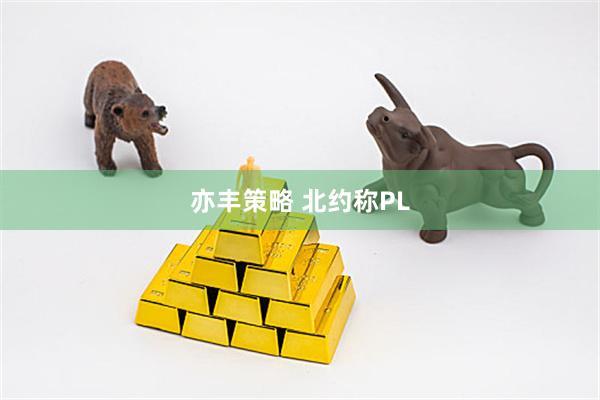 亦丰策略 北约称PL